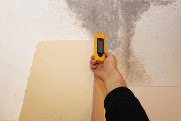 Best Mold Odor Removal Services  in Osgood, IN
