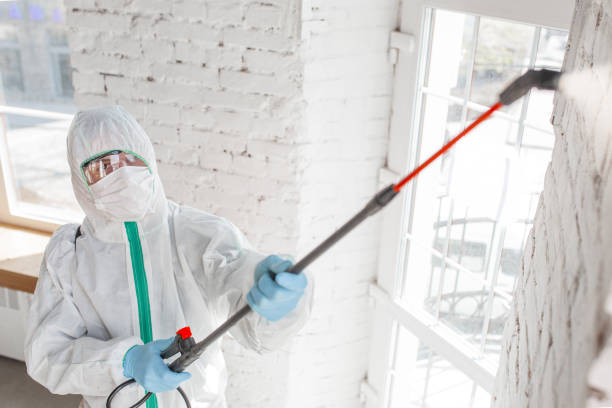 Best Indoor Air Quality Assessment  in Osgood, IN