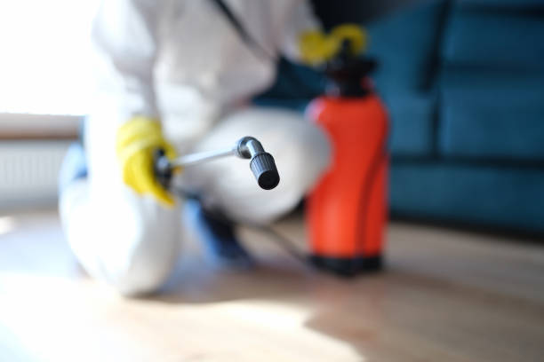 Biohazard Mold Removal in Osgood, IN