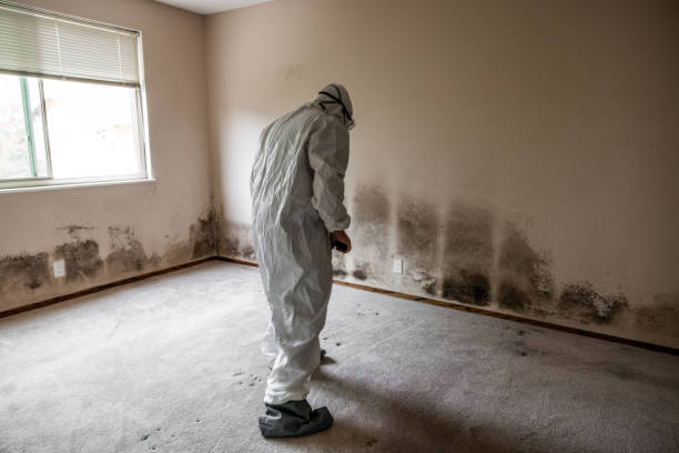 Best Mold Removal for HVAC Installations  in Osgood, IN