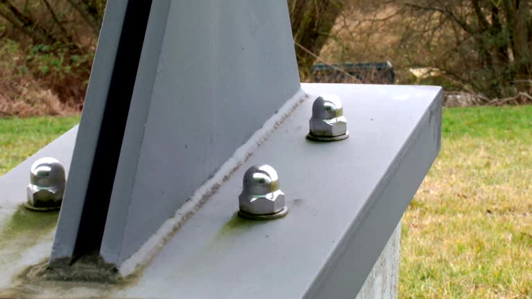 Best Post-Construction Mold Inspection  in Osgood, IN