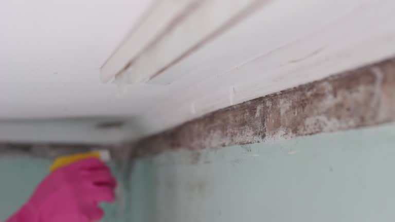 Best Air Quality Testing for Mold Spores  in Osgood, IN